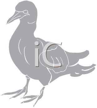 Bird Clipart