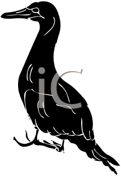 Bird Clipart