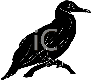 Bird Clipart