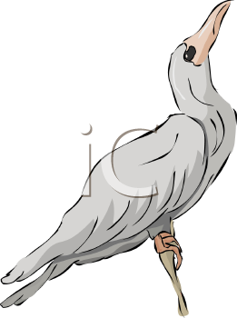 Bird Clipart