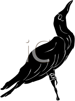 Bird Clipart