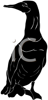 Bird Clipart