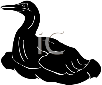 Bird Clipart