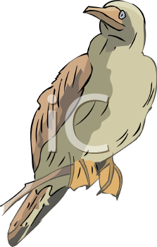 Bird Clipart