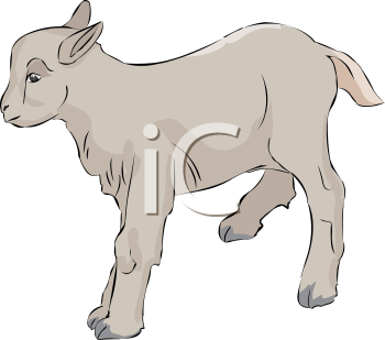 Farm Animal Clipart