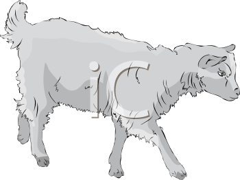 Farm Animal Clipart