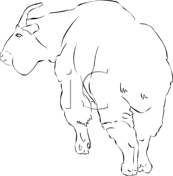 Farm Animal Clipart