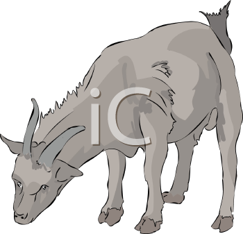 Farm Animal Clipart