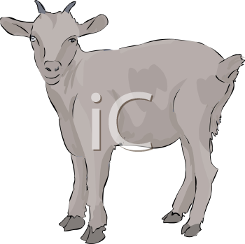 Farm Animal Clipart