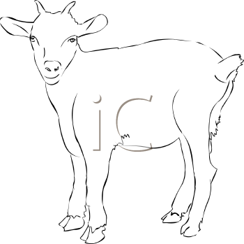 Farm Animal Clipart