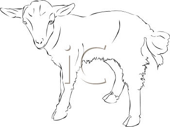 Farm Animal Clipart