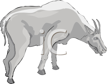 Farm Animal Clipart