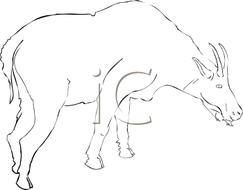 Farm Animal Clipart