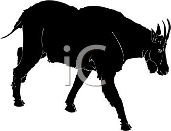 Farm Animal Clipart