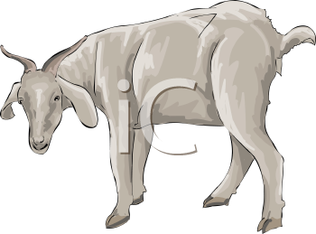 Farm Animal Clipart