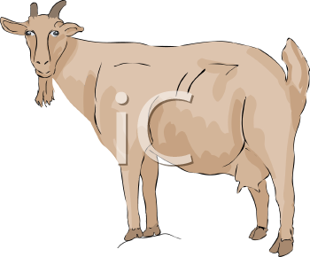 Farm Animal Clipart