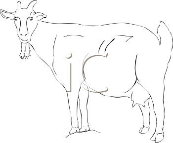 Farm Animal Clipart