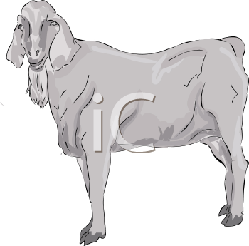 Farm Animal Clipart