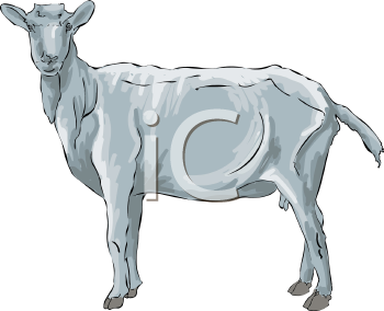 Farm Animal Clipart