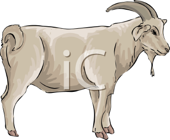 Farm Animal Clipart