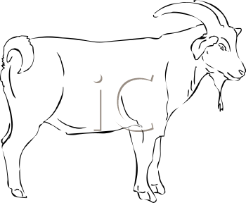 Farm Animal Clipart