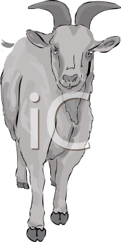 Farm Animal Clipart