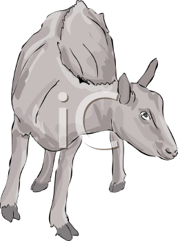 Farm Animal Clipart