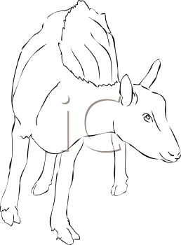 Farm Animal Clipart