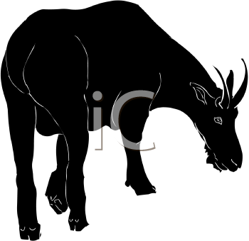 Farm Animal Clipart