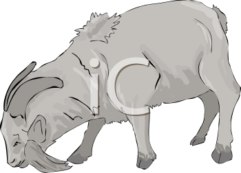 Farm Animal Clipart