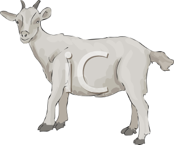 Farm Animal Clipart