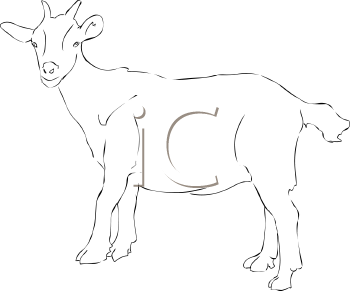 Farm Animal Clipart