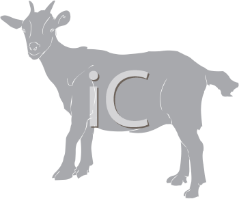 Farm Animal Clipart