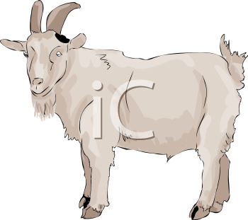 Farm Animal Clipart