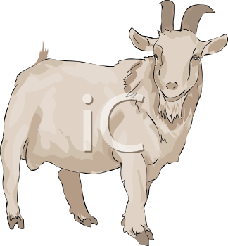 Farm Animal Clipart