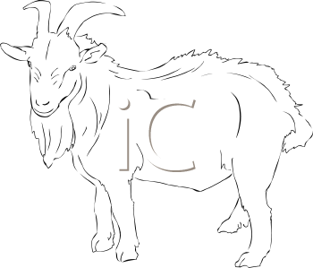 Farm Animal Clipart