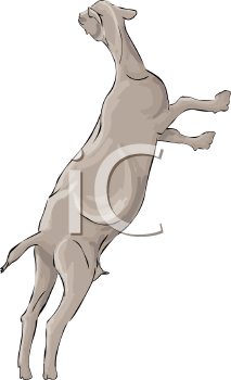 Farm Animal Clipart