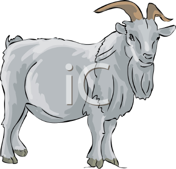 Farm Animal Clipart