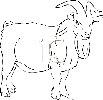 Farm Animal Clipart