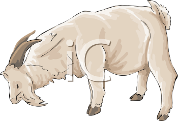 Farm Animal Clipart