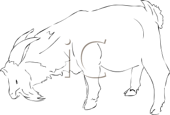 Farm Animal Clipart