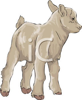 Farm Animal Clipart