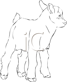 Farm Animal Clipart