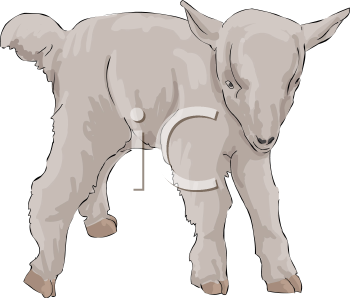 Farm Animal Clipart