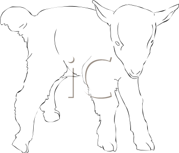 Farm Animal Clipart