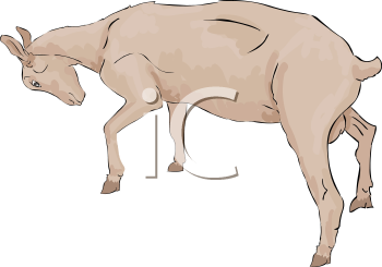 Farm Animal Clipart