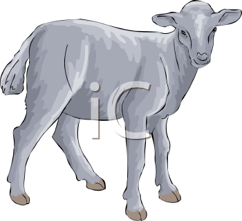 Farm Animal Clipart