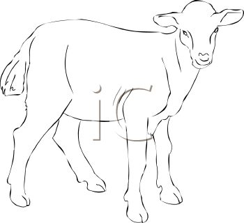 Farm Animal Clipart