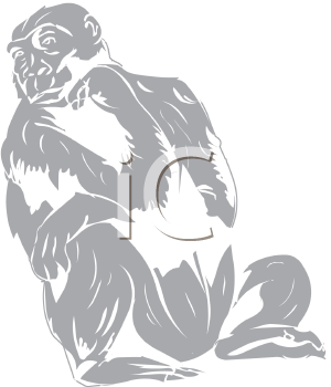 Primate Clipart