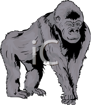 Primate Clipart